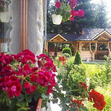 Magurskie Bywanie Witów Екстериор снимка